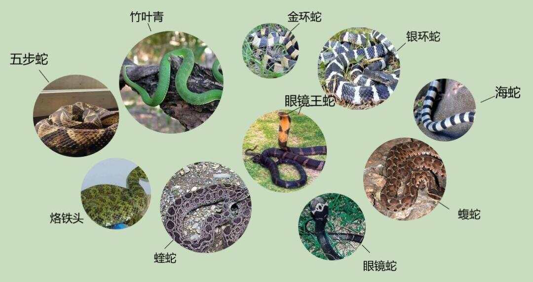 热点生活 第32页