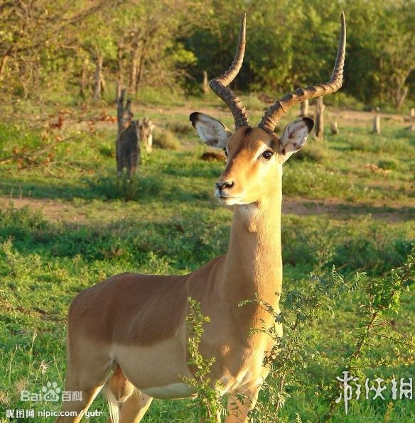 热点生活 第19页